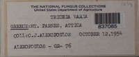 Trichia varia image